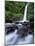 La Paz Waterfall near Volcan Poas-Guido Cozzi-Mounted Photographic Print