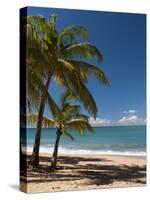 La Perle Beach, Deshaies, Basse-Terre, Guadeloupe, French Caribbean, France, West Indies-Sergio Pitamitz-Stretched Canvas