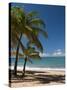 La Perle Beach, Deshaies, Basse-Terre, Guadeloupe, French Caribbean, France, West Indies-Sergio Pitamitz-Stretched Canvas