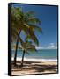 La Perle Beach, Deshaies, Basse-Terre, Guadeloupe, French Caribbean, France, West Indies-Sergio Pitamitz-Framed Stretched Canvas