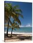 La Perle Beach, Deshaies, Basse-Terre, Guadeloupe, French Caribbean, France, West Indies-Sergio Pitamitz-Stretched Canvas