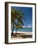 La Perle Beach, Deshaies, Basse-Terre, Guadeloupe, French Caribbean, France, West Indies-Sergio Pitamitz-Framed Photographic Print