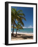 La Perle Beach, Deshaies, Basse-Terre, Guadeloupe, French Caribbean, France, West Indies-Sergio Pitamitz-Framed Photographic Print