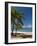 La Perle Beach, Deshaies, Basse-Terre, Guadeloupe, French Caribbean, France, West Indies-Sergio Pitamitz-Framed Photographic Print