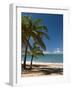 La Perle Beach, Deshaies, Basse-Terre, Guadeloupe, French Caribbean, France, West Indies-Sergio Pitamitz-Framed Photographic Print