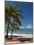 La Perle Beach, Deshaies, Basse-Terre, Guadeloupe, French Caribbean, France, West Indies-Sergio Pitamitz-Mounted Photographic Print