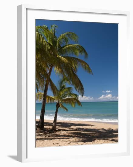 La Perle Beach, Deshaies, Basse-Terre, Guadeloupe, French Caribbean, France, West Indies-Sergio Pitamitz-Framed Photographic Print