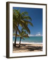 La Perle Beach, Deshaies, Basse-Terre, Guadeloupe, French Caribbean, France, West Indies-Sergio Pitamitz-Framed Photographic Print