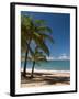 La Perle Beach, Deshaies, Basse-Terre, Guadeloupe, French Caribbean, France, West Indies-Sergio Pitamitz-Framed Photographic Print