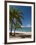 La Perle Beach, Deshaies, Basse-Terre, Guadeloupe, French Caribbean, France, West Indies-Sergio Pitamitz-Framed Photographic Print