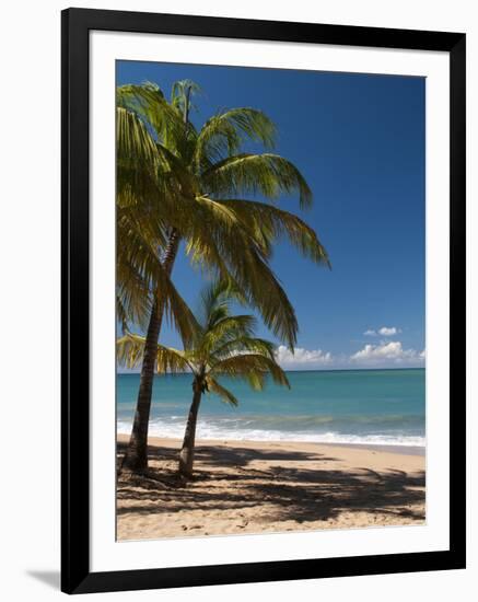 La Perle Beach, Deshaies, Basse-Terre, Guadeloupe, French Caribbean, France, West Indies-Sergio Pitamitz-Framed Photographic Print