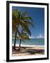 La Perle Beach, Deshaies, Basse-Terre, Guadeloupe, French Caribbean, France, West Indies-Sergio Pitamitz-Framed Photographic Print