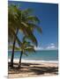 La Perle Beach, Deshaies, Basse-Terre, Guadeloupe, French Caribbean, France, West Indies-Sergio Pitamitz-Mounted Photographic Print