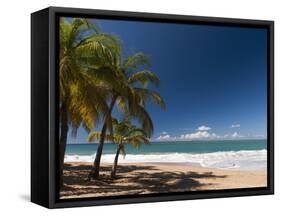 La Perle Beach, Deshaies, Basse-Terre, Guadeloupe, French Caribbean, France, West Indies-Sergio Pitamitz-Framed Stretched Canvas