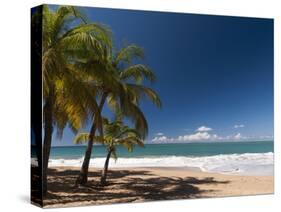 La Perle Beach, Deshaies, Basse-Terre, Guadeloupe, French Caribbean, France, West Indies-Sergio Pitamitz-Stretched Canvas