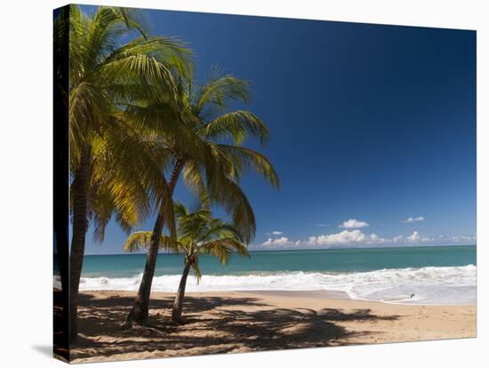 La Perle Beach, Deshaies, Basse-Terre, Guadeloupe, French Caribbean, France, West Indies-Sergio Pitamitz-Stretched Canvas