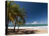 La Perle Beach, Deshaies, Basse-Terre, Guadeloupe, French Caribbean, France, West Indies-Sergio Pitamitz-Stretched Canvas