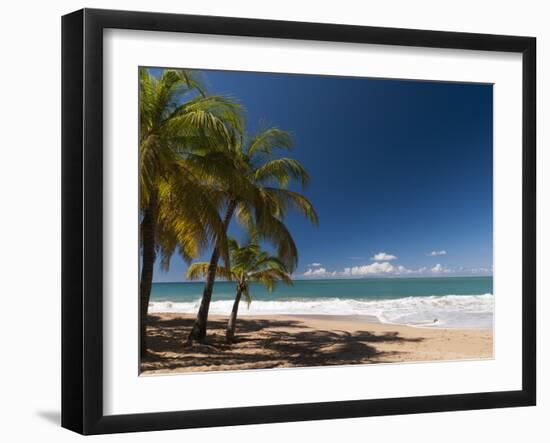 La Perle Beach, Deshaies, Basse-Terre, Guadeloupe, French Caribbean, France, West Indies-Sergio Pitamitz-Framed Premium Photographic Print