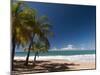 La Perle Beach, Deshaies, Basse-Terre, Guadeloupe, French Caribbean, France, West Indies-Sergio Pitamitz-Mounted Premium Photographic Print