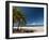 La Perle Beach, Deshaies, Basse-Terre, Guadeloupe, French Caribbean, France, West Indies-Sergio Pitamitz-Framed Photographic Print