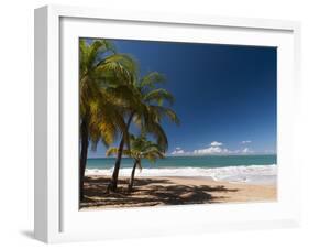 La Perle Beach, Deshaies, Basse-Terre, Guadeloupe, French Caribbean, France, West Indies-Sergio Pitamitz-Framed Photographic Print