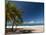 La Perle Beach, Deshaies, Basse-Terre, Guadeloupe, French Caribbean, France, West Indies-Sergio Pitamitz-Mounted Photographic Print