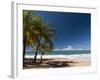 La Perle Beach, Deshaies, Basse-Terre, Guadeloupe, French Caribbean, France, West Indies-Sergio Pitamitz-Framed Photographic Print