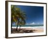 La Perle Beach, Deshaies, Basse-Terre, Guadeloupe, French Caribbean, France, West Indies-Sergio Pitamitz-Framed Photographic Print