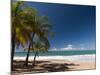 La Perle Beach, Deshaies, Basse-Terre, Guadeloupe, French Caribbean, France, West Indies-Sergio Pitamitz-Mounted Photographic Print