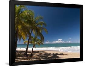 La Perle Beach, Deshaies, Basse-Terre, Guadeloupe, French Caribbean, France, West Indies-Sergio Pitamitz-Framed Photographic Print