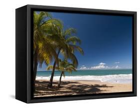 La Perle Beach, Deshaies, Basse-Terre, Guadeloupe, French Caribbean, France, West Indies-Sergio Pitamitz-Framed Stretched Canvas