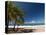 La Perle Beach, Deshaies, Basse-Terre, Guadeloupe, French Caribbean, France, West Indies-Sergio Pitamitz-Stretched Canvas