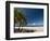 La Perle Beach, Deshaies, Basse-Terre, Guadeloupe, French Caribbean, France, West Indies-Sergio Pitamitz-Framed Photographic Print