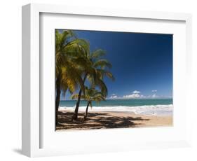 La Perle Beach, Deshaies, Basse-Terre, Guadeloupe, French Caribbean, France, West Indies-Sergio Pitamitz-Framed Photographic Print