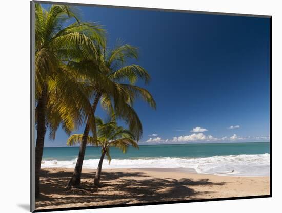 La Perle Beach, Deshaies, Basse-Terre, Guadeloupe, French Caribbean, France, West Indies-Sergio Pitamitz-Mounted Photographic Print