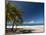 La Perle Beach, Deshaies, Basse-Terre, Guadeloupe, French Caribbean, France, West Indies-Sergio Pitamitz-Mounted Photographic Print