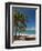 La Perle Beach, Deshaies, Basse-Terre, Guadeloupe, French Caribbean, France, West Indies-Sergio Pitamitz-Framed Premium Photographic Print