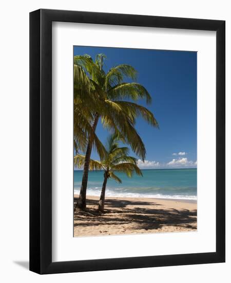 La Perle Beach, Deshaies, Basse-Terre, Guadeloupe, French Caribbean, France, West Indies-Sergio Pitamitz-Framed Premium Photographic Print