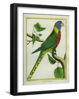 La Perruche D'Amboine-Georges-Louis Buffon-Framed Giclee Print