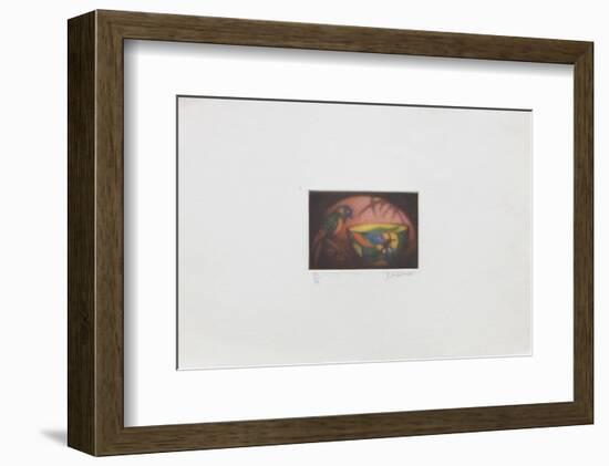 La perruche-Laurent Schkolnyk-Framed Limited Edition