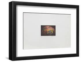 La perruche-Laurent Schkolnyk-Framed Limited Edition