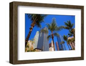 LA-Pershing Square Palm Tress-null-Framed Art Print