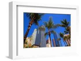 LA-Pershing Square Palm Tress-null-Framed Art Print