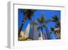 LA-Pershing Square Palm Tress-null-Framed Art Print