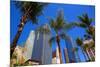 LA-Pershing Square Palm Tress-null-Mounted Art Print