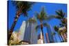 LA-Pershing Square Palm Tress-null-Stretched Canvas