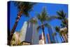 LA-Pershing Square Palm Tress-null-Stretched Canvas