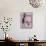 La Petite Cocotte, 2009-Jenny Barnard-Mounted Giclee Print displayed on a wall