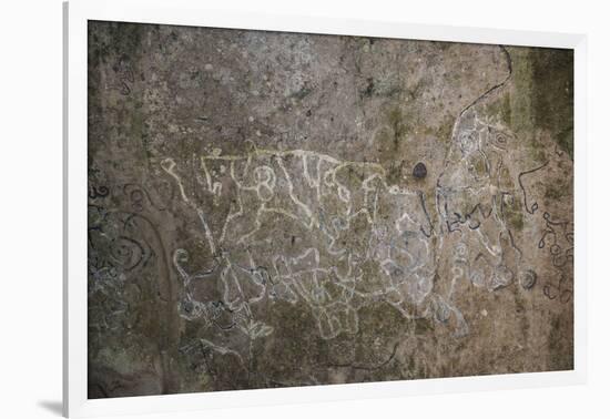 La Piedra Pintada petroglyphs, El Valle de Anton, Panama, Central America-Michael Runkel-Framed Photographic Print