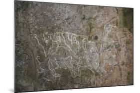 La Piedra Pintada petroglyphs, El Valle de Anton, Panama, Central America-Michael Runkel-Mounted Photographic Print